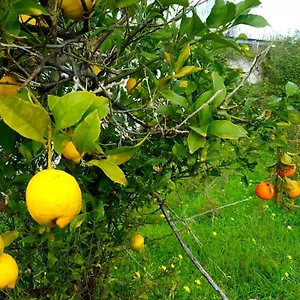 3* Bed & Breakfast Archimede Vacanze